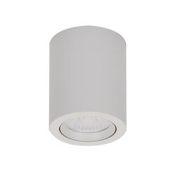 Neo-10 10W Dimmable Surface Mounted Tiltable LED Downlight White / Tri-Colour - 21298