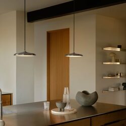 Artist 25 LED Pendant Stainless Steel - 2420203034