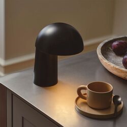 Faye Portable LED Table Lamp Black - 2420155003