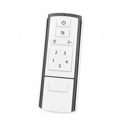 Remote Control & Receiver Module Kit - 21650SP001