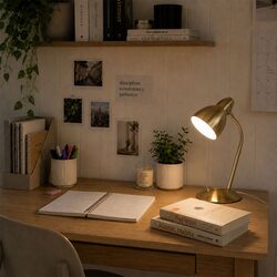 Trax Classic Gooseneck Task Lamp Satin Brass - SL98401SB