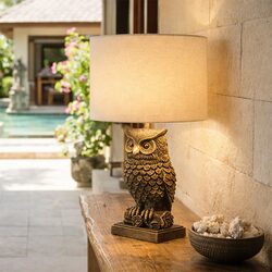 Owl Sculpture LED Table Lamp Brushed Antique Brass - LL-LED-32