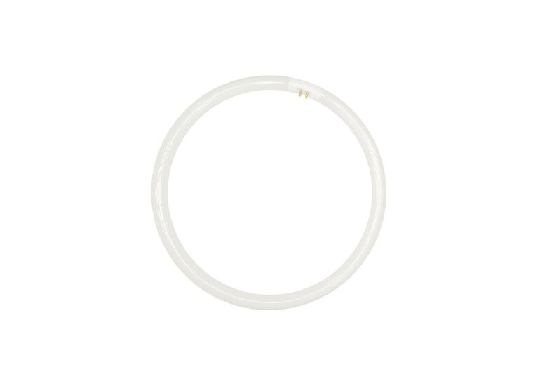 Circular T5 Fluorescent Tube 22W Warm White - T5R-22W-3000K